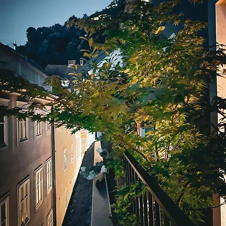 1000 Views Rooftop Duplex Hottub 公寓 *